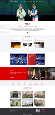 西安市藝術學校 教育院校 案例展示 硅峰網絡 網站設計 軟件開發 微信建設,西安最專業的企業信息化建設網絡公司