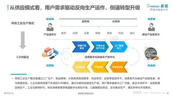 易觀智庫報(bào)告 中國工業(yè)互聯(lián)網(wǎng)數(shù)字化發(fā)展專題分析2019 ppt版