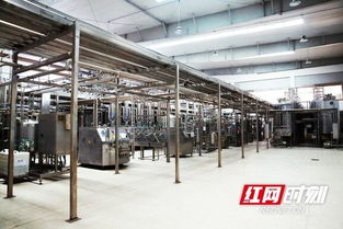 優(yōu)氏乳業(yè)助力 國家學(xué)生飲用奶計(jì)劃 健康食品產(chǎn)業(yè)何以頻現(xiàn) 寧鄉(xiāng)智造