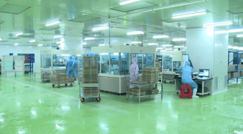 晶正科技 沖刺虎年開門紅