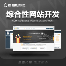 綜合性網站 企業官網 個