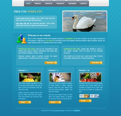 藍(lán)色天鵝景物的單頁(yè)企業(yè)網(wǎng)站下載